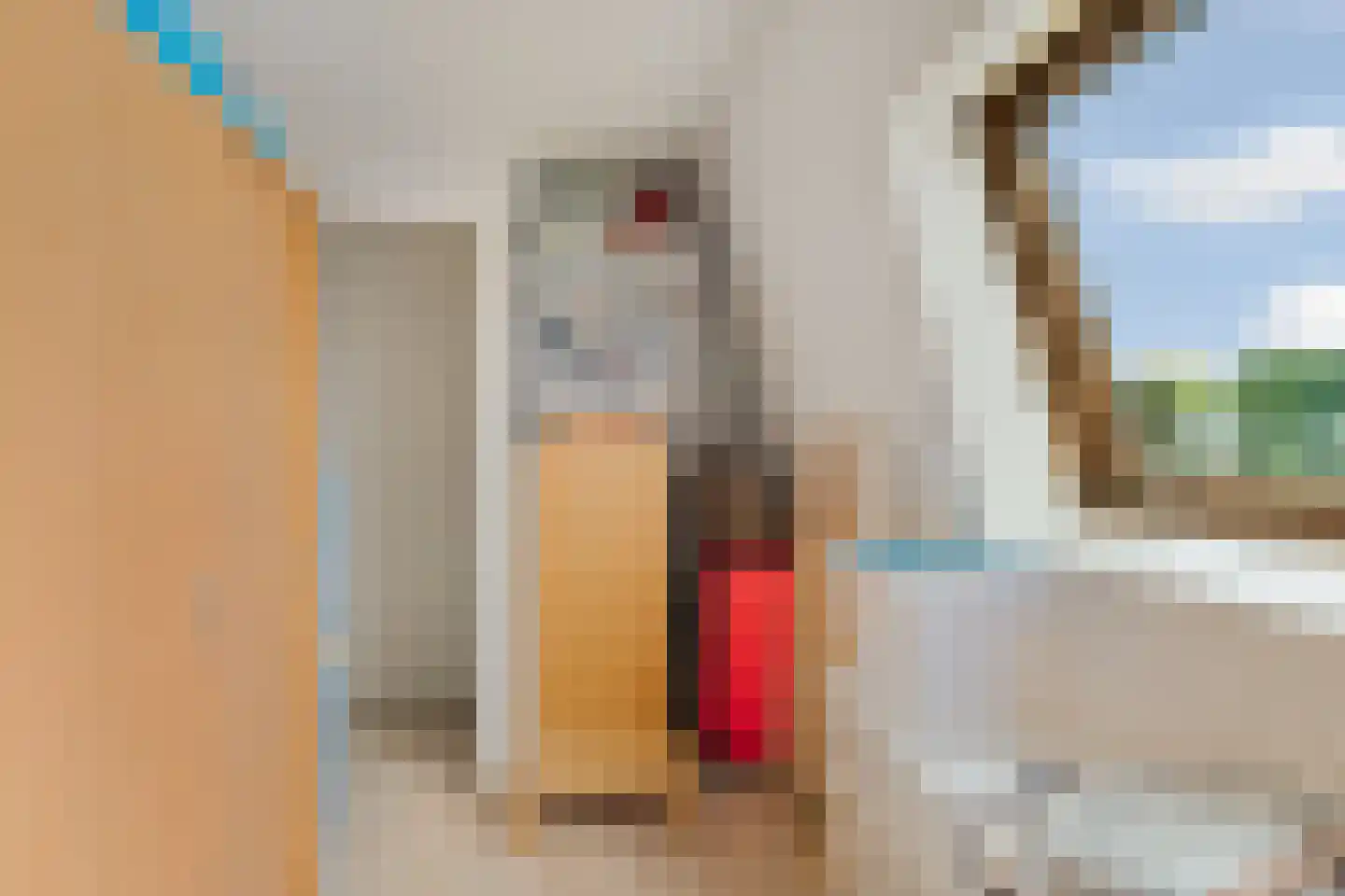 Eshof 17 Gendt thumbnail 30