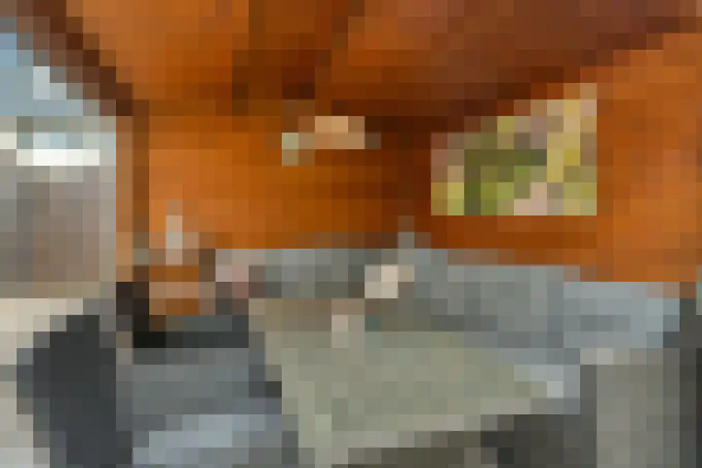 Eshof 17 Gendt thumbnail 33