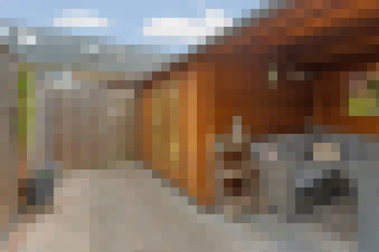 Eshof 17 Gendt thumbnail 34