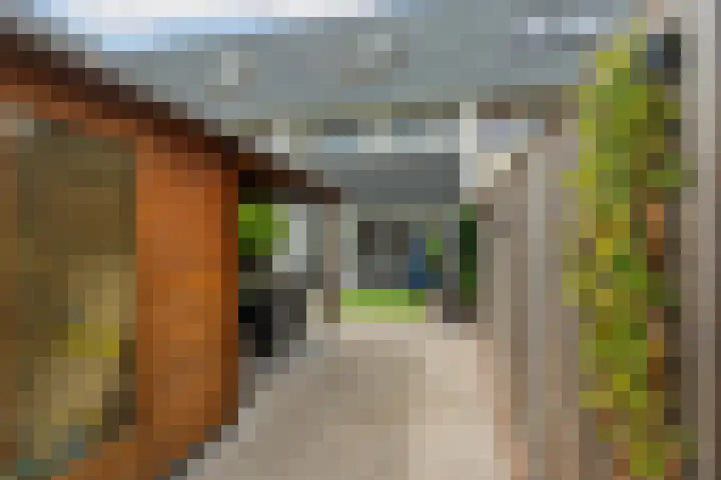 Eshof 17 Gendt thumbnail 36