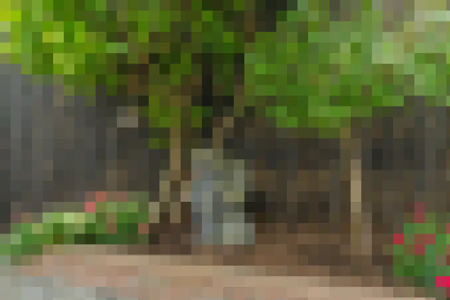 Eshof 17 Gendt thumbnail 39