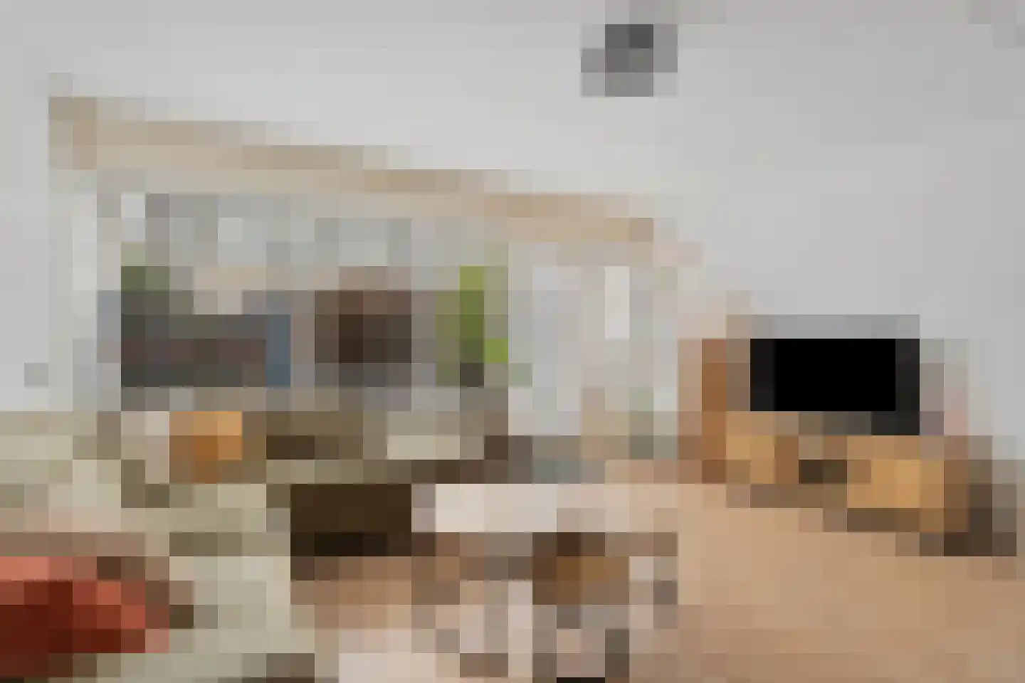 Eshof 17 Gendt thumbnail 4