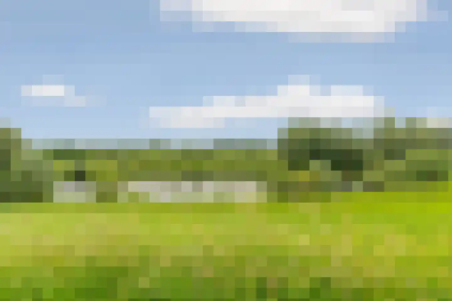Eshof 17 Gendt thumbnail 48