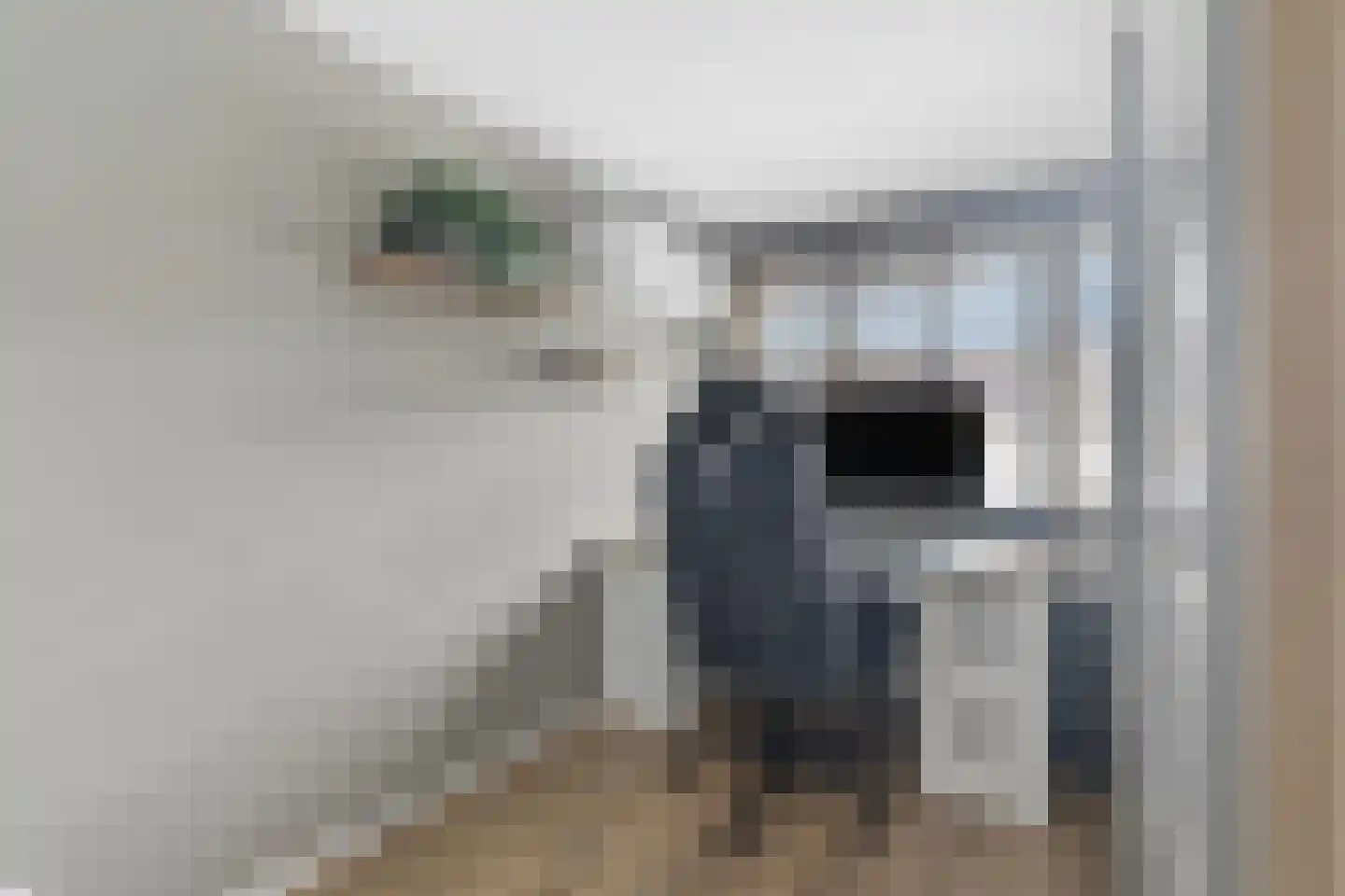 Eshof 33 Gendt thumbnail 27