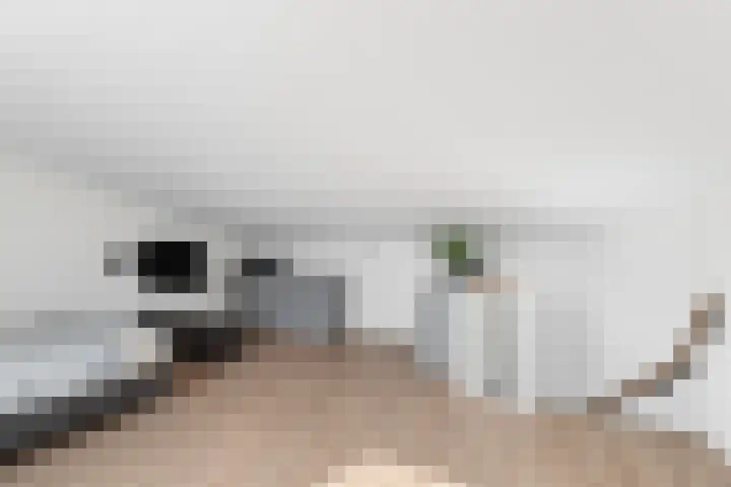 Eshof 33 Gendt thumbnail 42