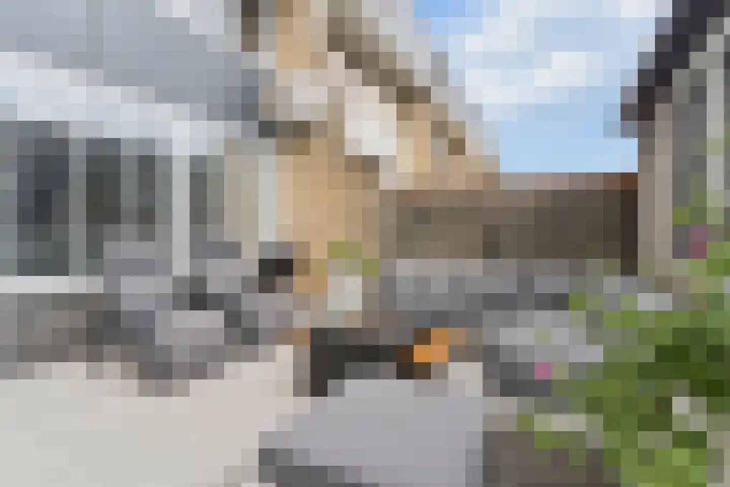 Eshof 33 Gendt thumbnail 44
