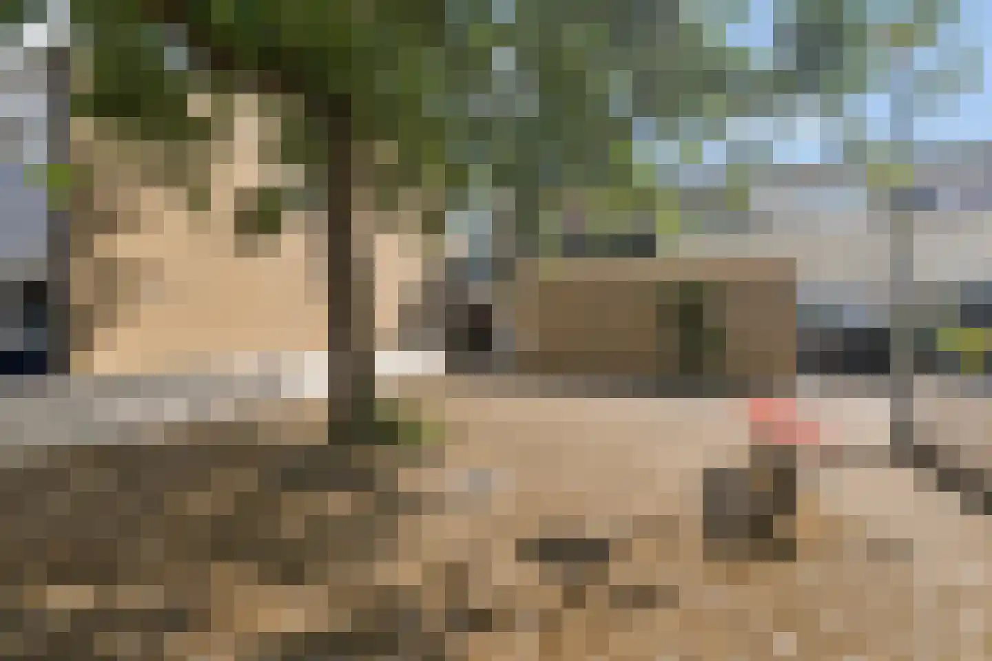 Eshof 33 Gendt thumbnail 57