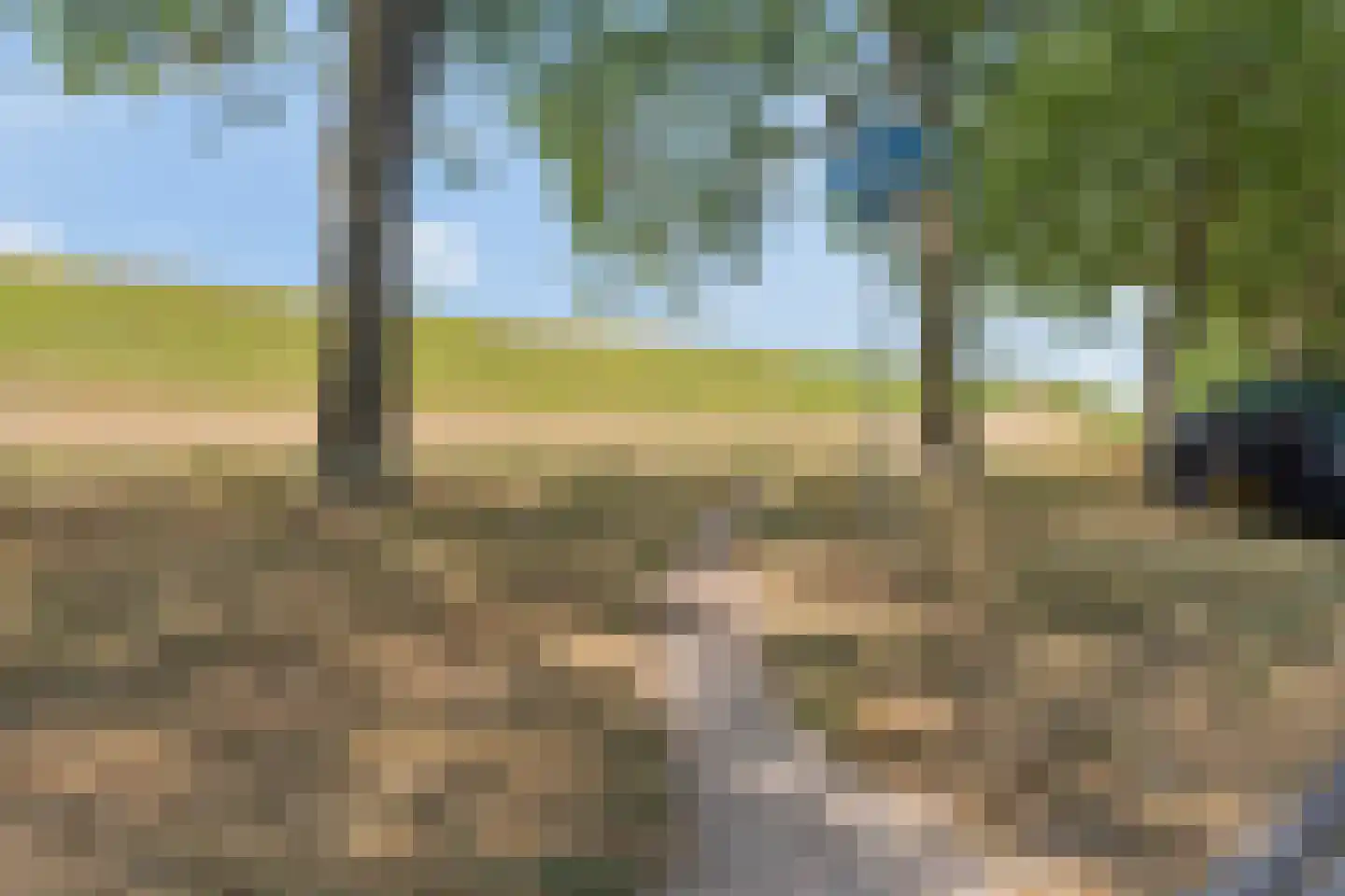Eshof 33 Gendt thumbnail 58
