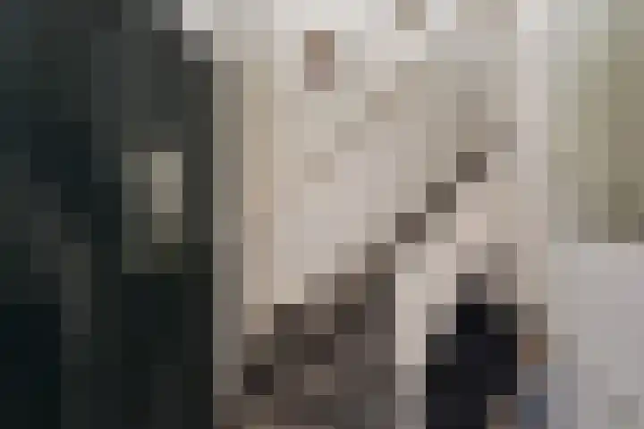 Eshof 7 Eext thumbnail 15