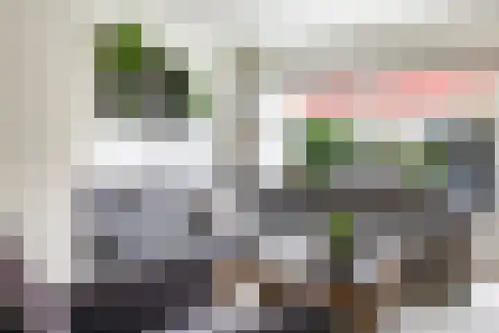Eshof 8 Gendt thumbnail 13