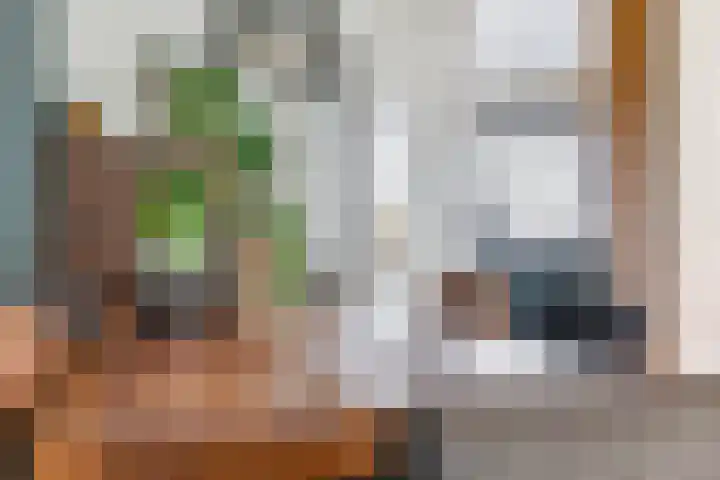 Eshof 8 Gendt thumbnail 21
