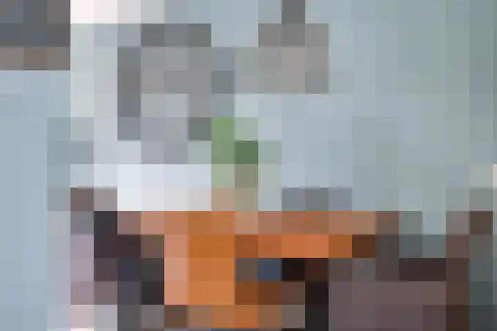 Eshof 8 Gendt thumbnail 29