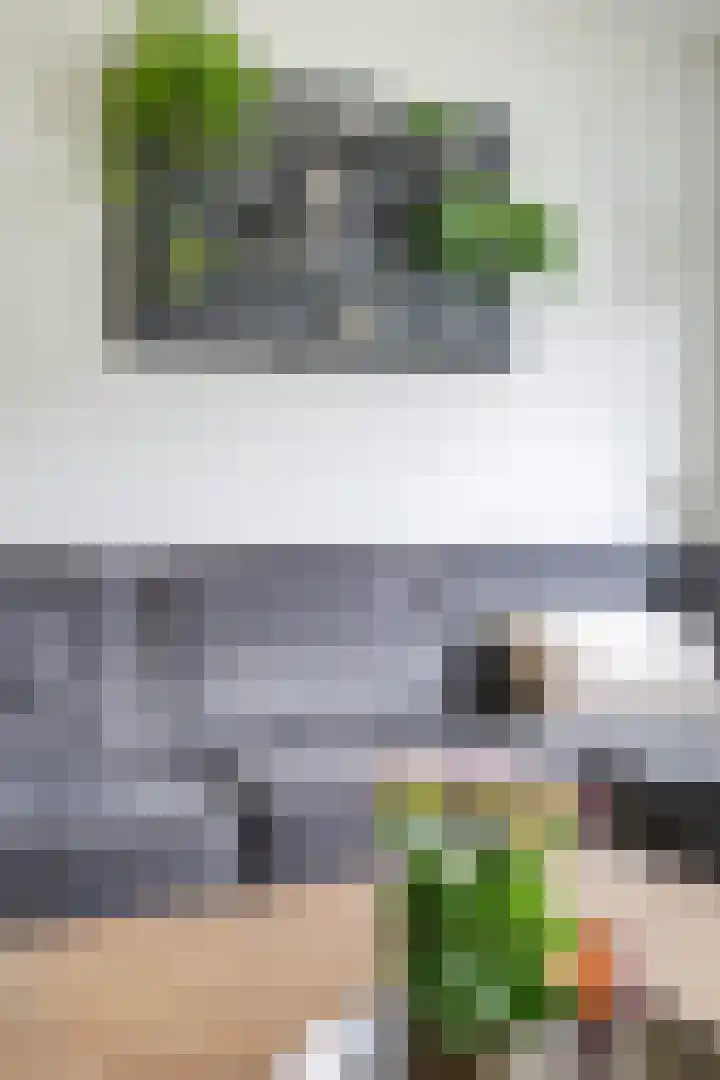 Eshof 8 Gendt thumbnail 31