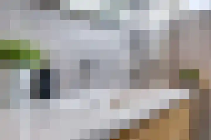 Eshof 8 Gendt thumbnail 59