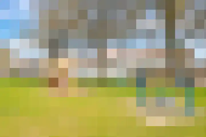 Eshof 8 Gendt thumbnail 70
