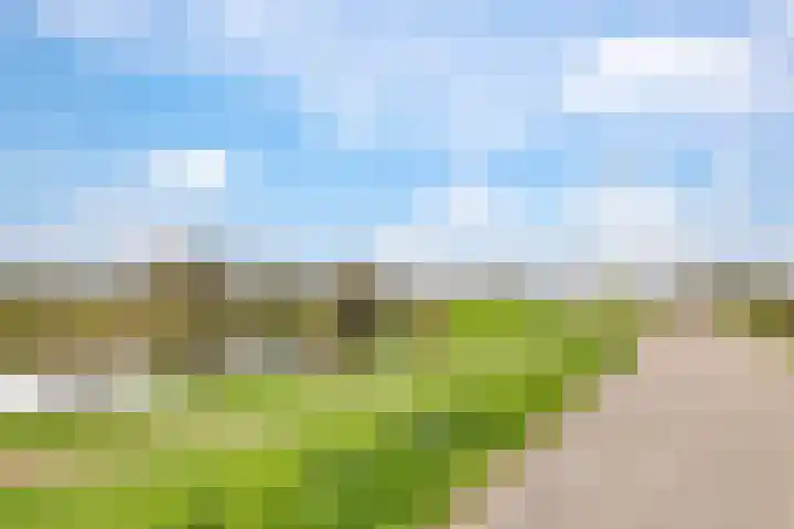 Eshof 8 Gendt thumbnail 72
