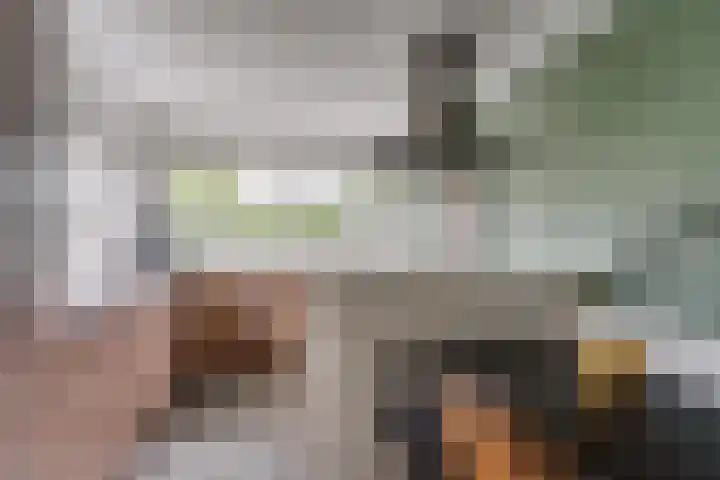 Eshoflaan 35 Woudenberg thumbnail 27