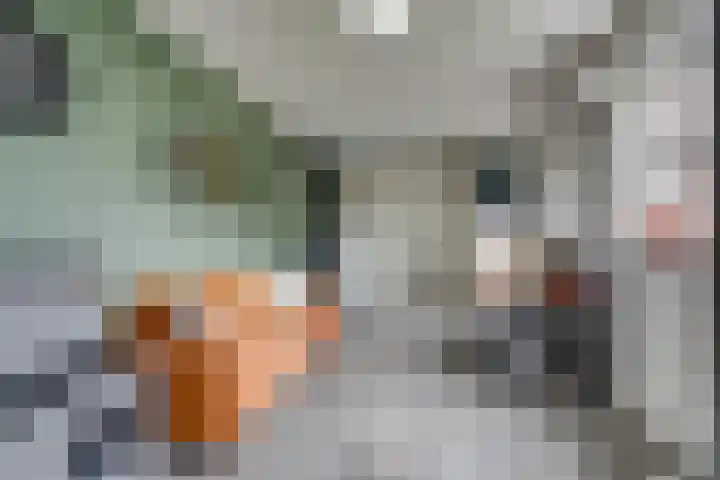 Eshoflaan 35 Woudenberg thumbnail 33