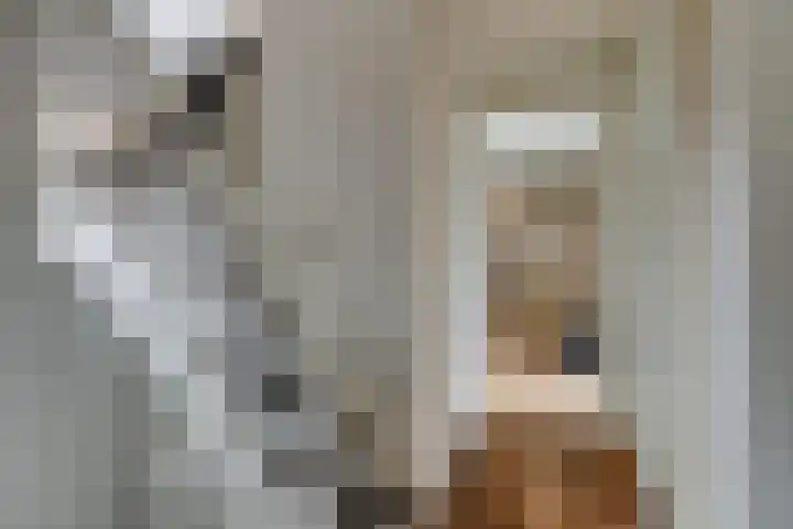 Eshoflaan 35 Woudenberg thumbnail 37