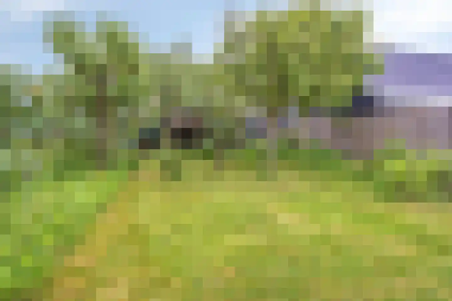 Eshoflaan 4 Woudenberg thumbnail 27