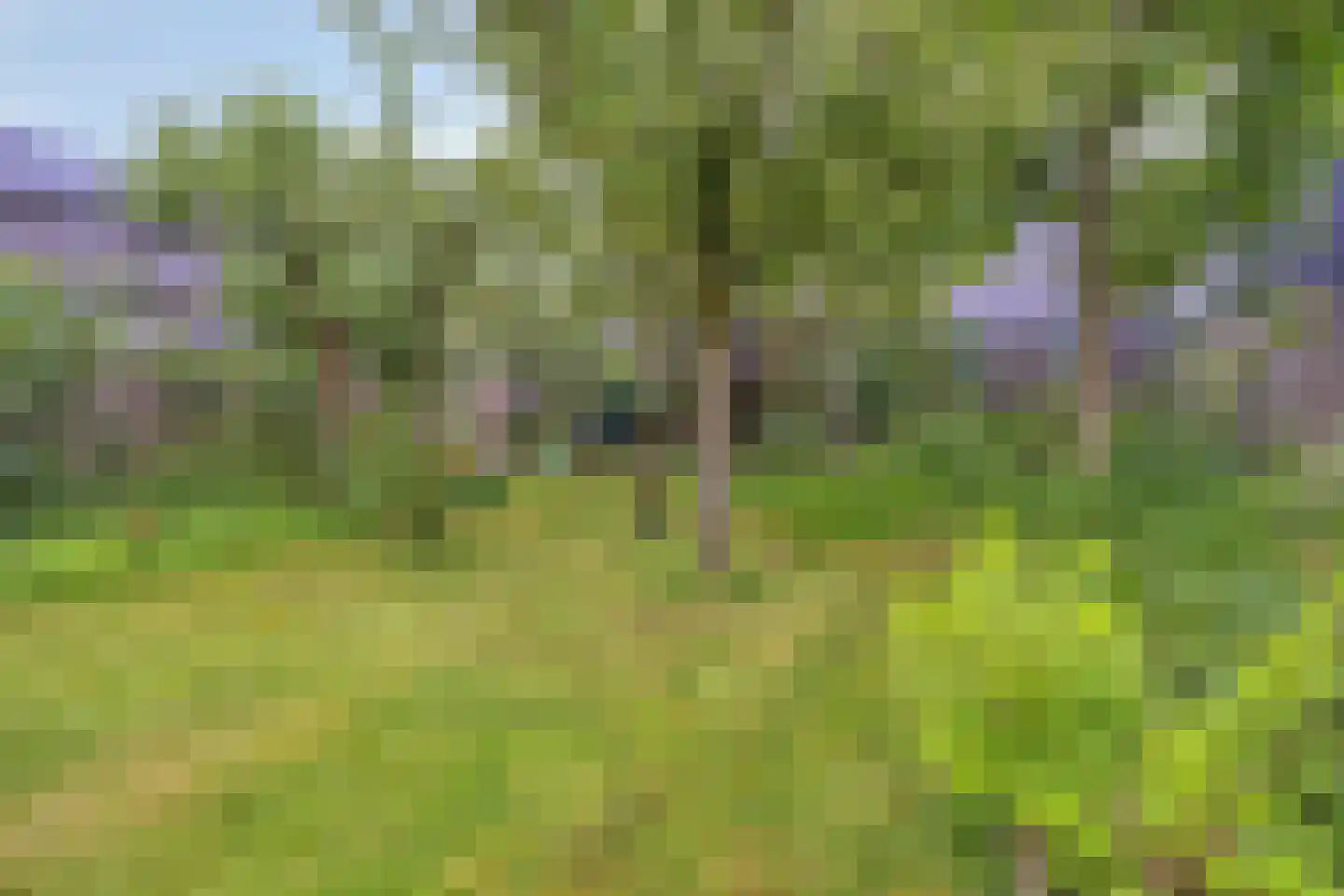 Eshoflaan 4 Woudenberg thumbnail 28