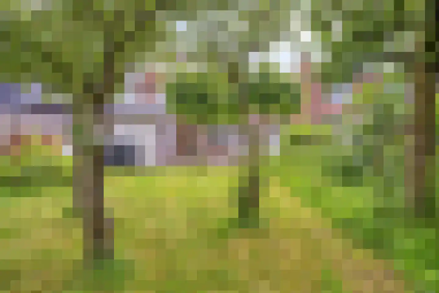 Eshoflaan 4 Woudenberg thumbnail 29
