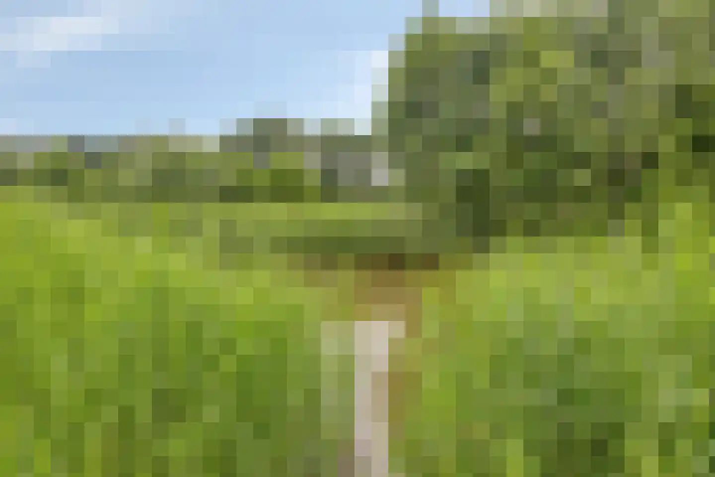 Eshoflaan 4 Woudenberg thumbnail 33