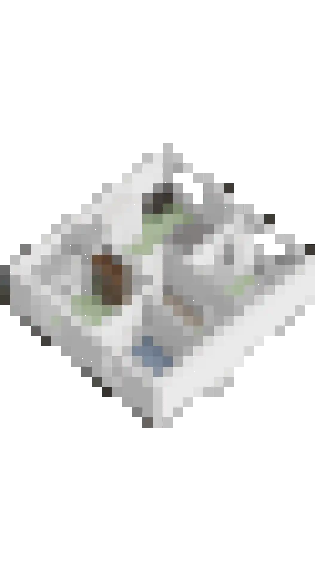 Eshoflaan 4 Woudenberg thumbnail 43