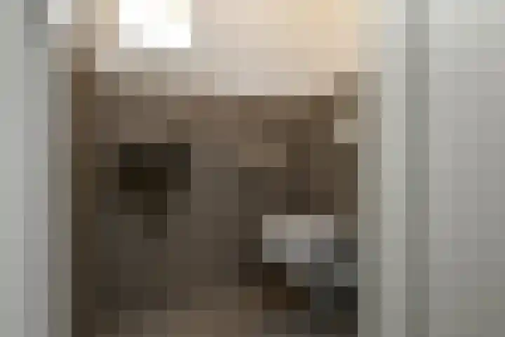 Eshofsestraat 2 n Elst thumbnail 15