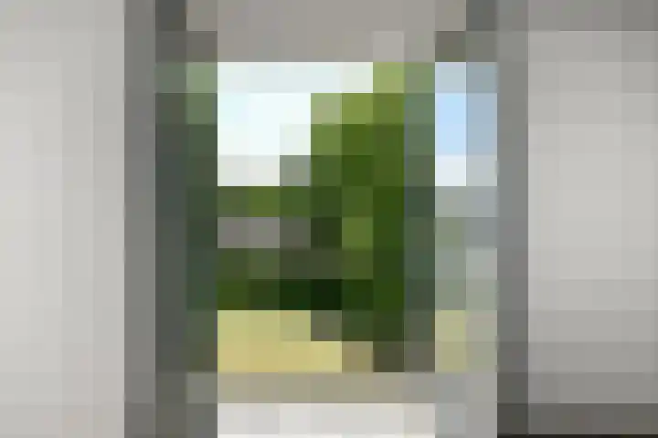 Eshofsestraat 2 n Elst thumbnail 22