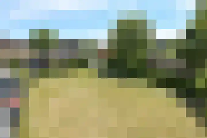 Eshofsestraat 2 n Elst thumbnail 23