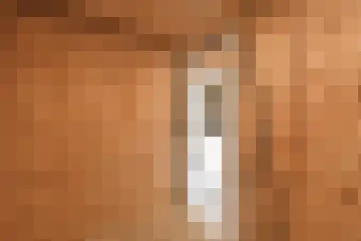 Eshofsestraat 2 n Elst thumbnail 38
