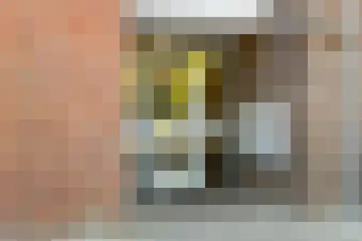 Eshofsestraat 2 n Elst thumbnail 7