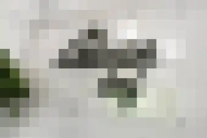 Eshofsestraat 2 n Elst thumbnail 8