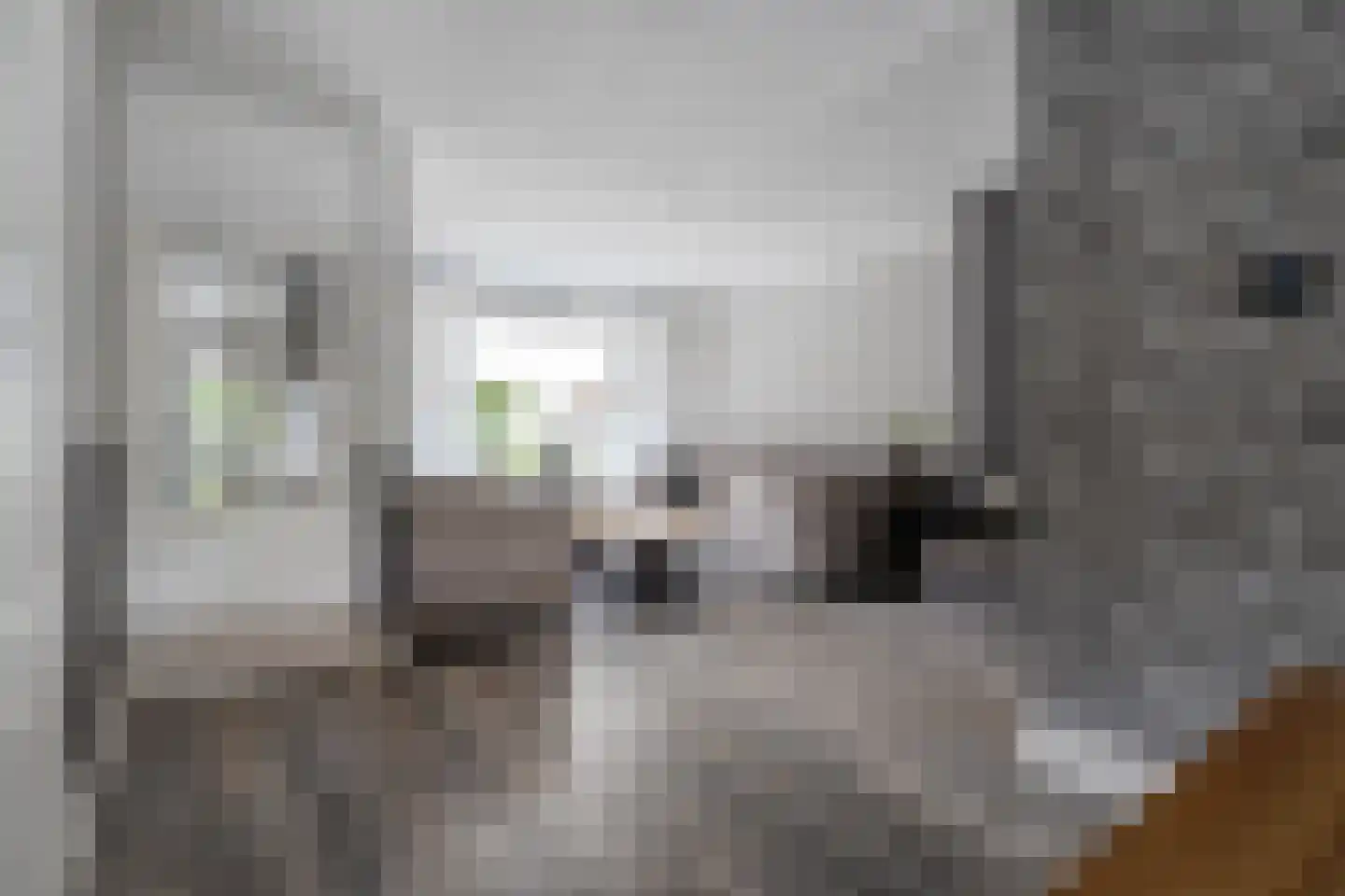 Eshuisstraat 24 Rijssen thumbnail 13