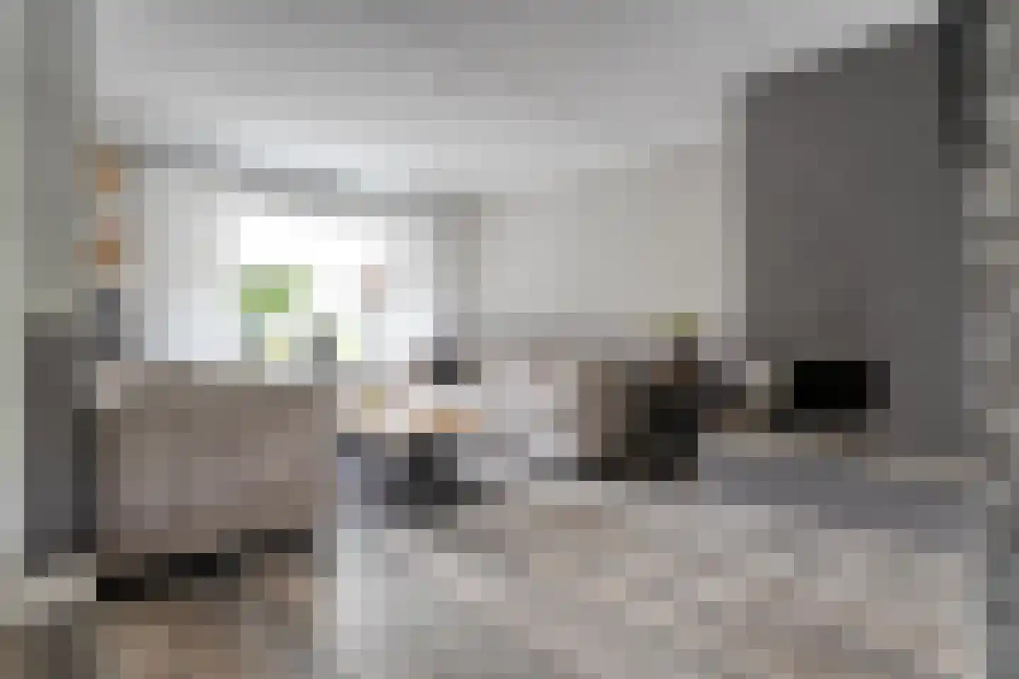 Eshuisstraat 24 Rijssen thumbnail 14