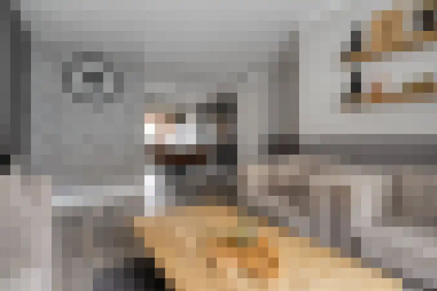 Eshuisstraat 24 Rijssen thumbnail 16