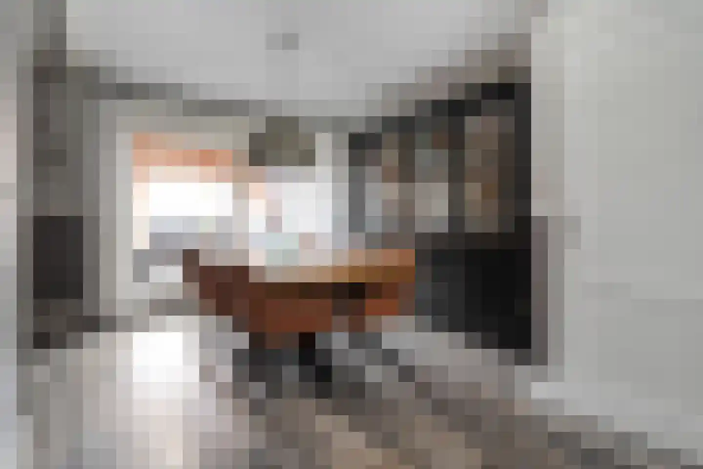 Eshuisstraat 24 Rijssen thumbnail 18