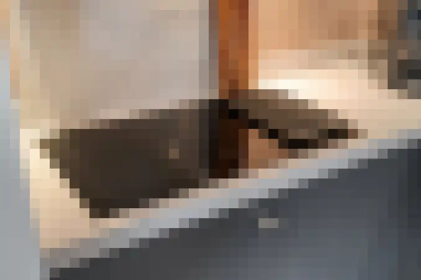 Eshuisstraat 24 Rijssen thumbnail 24