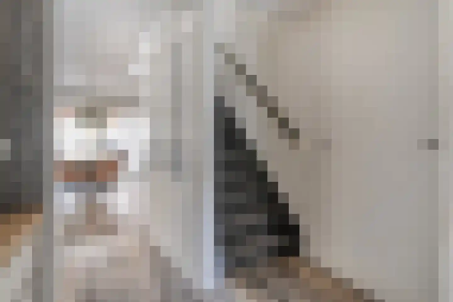 Eshuisstraat 24 Rijssen thumbnail 27
