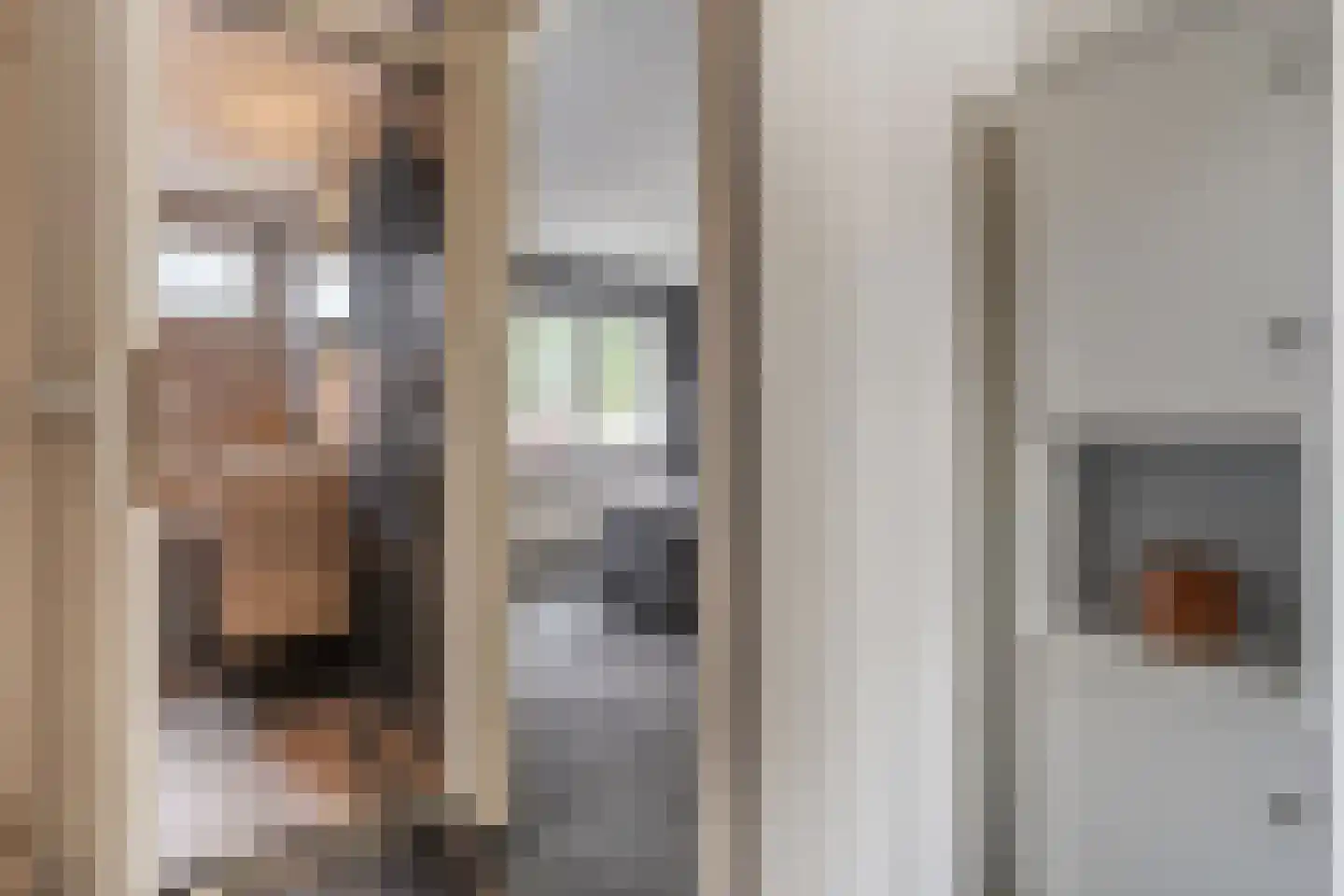 Eshuisstraat 24 Rijssen thumbnail 30
