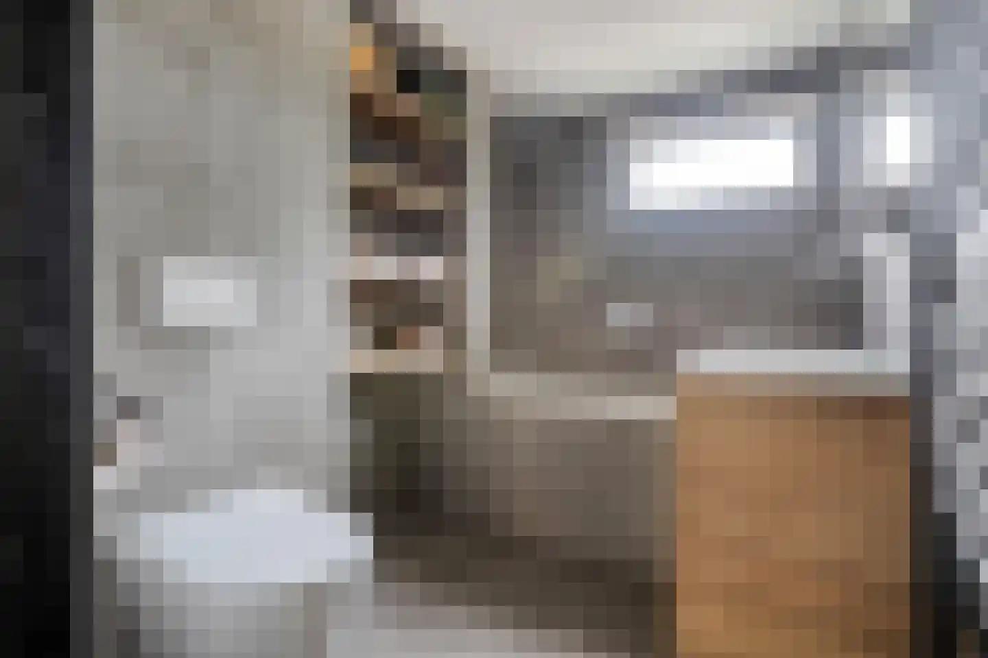 Eshuisstraat 24 Rijssen thumbnail 37