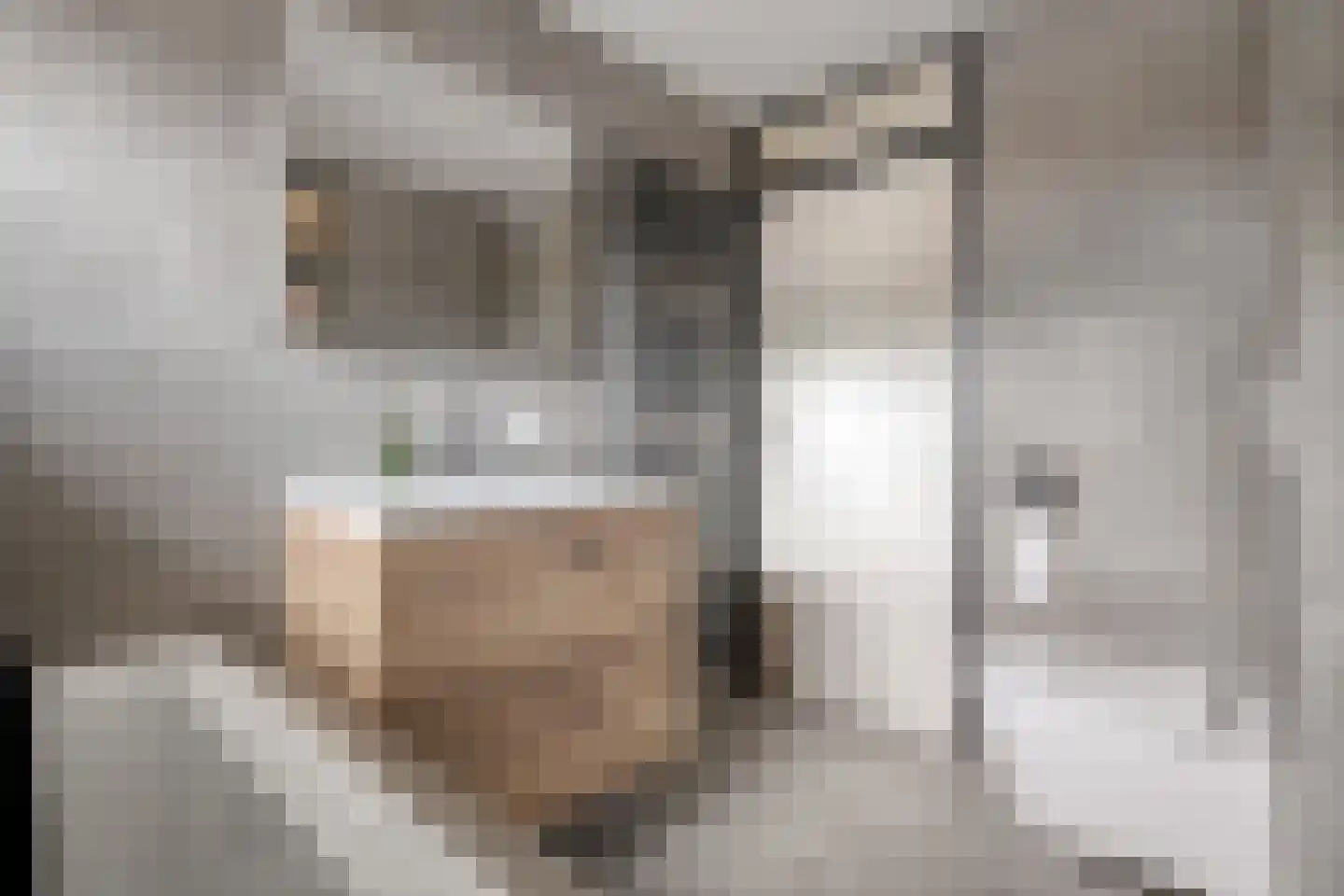 Eshuisstraat 24 Rijssen thumbnail 39