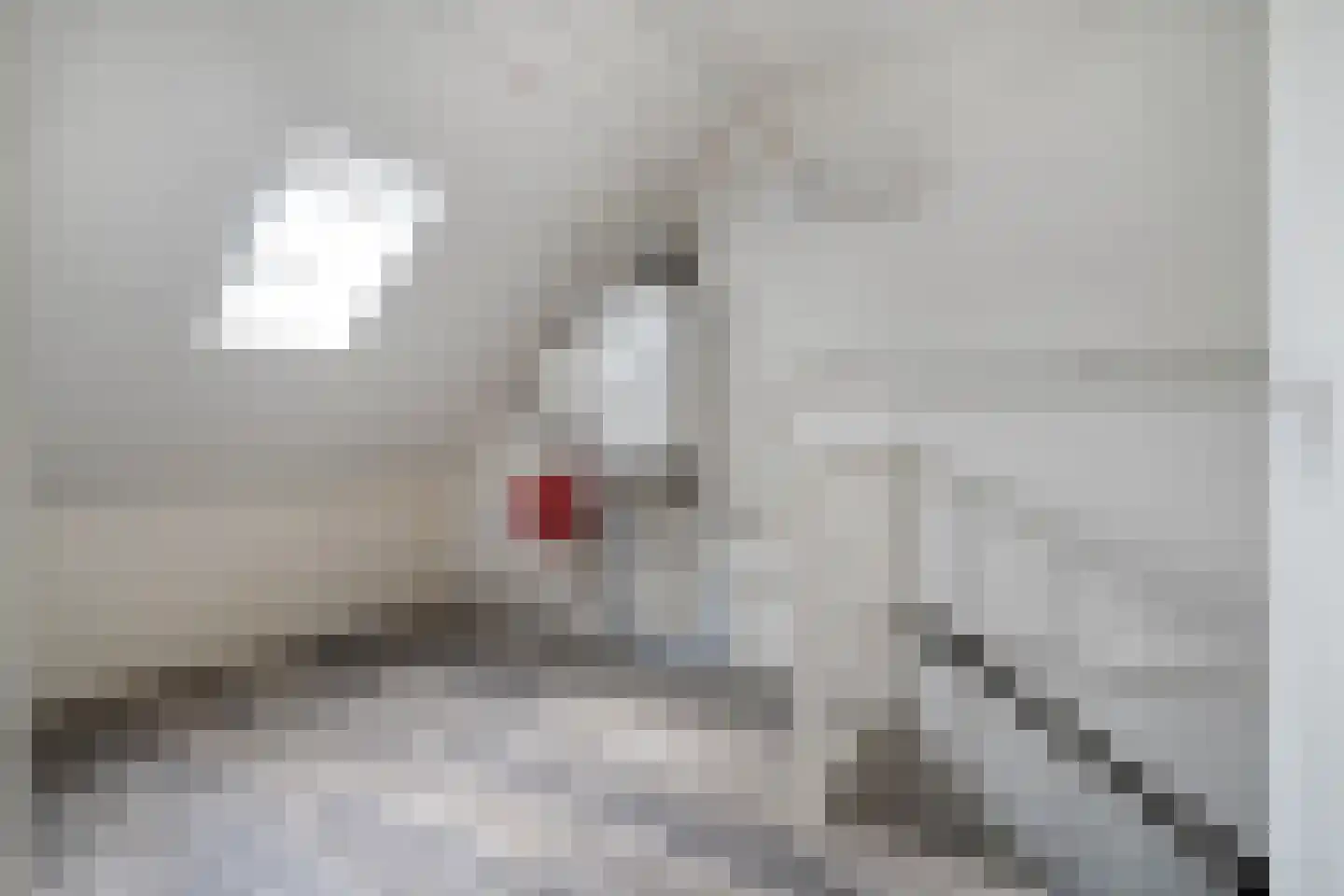 Eshuisstraat 24 Rijssen thumbnail 40