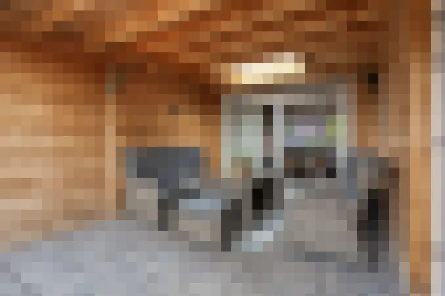 Eshuisstraat 24 Rijssen thumbnail 49