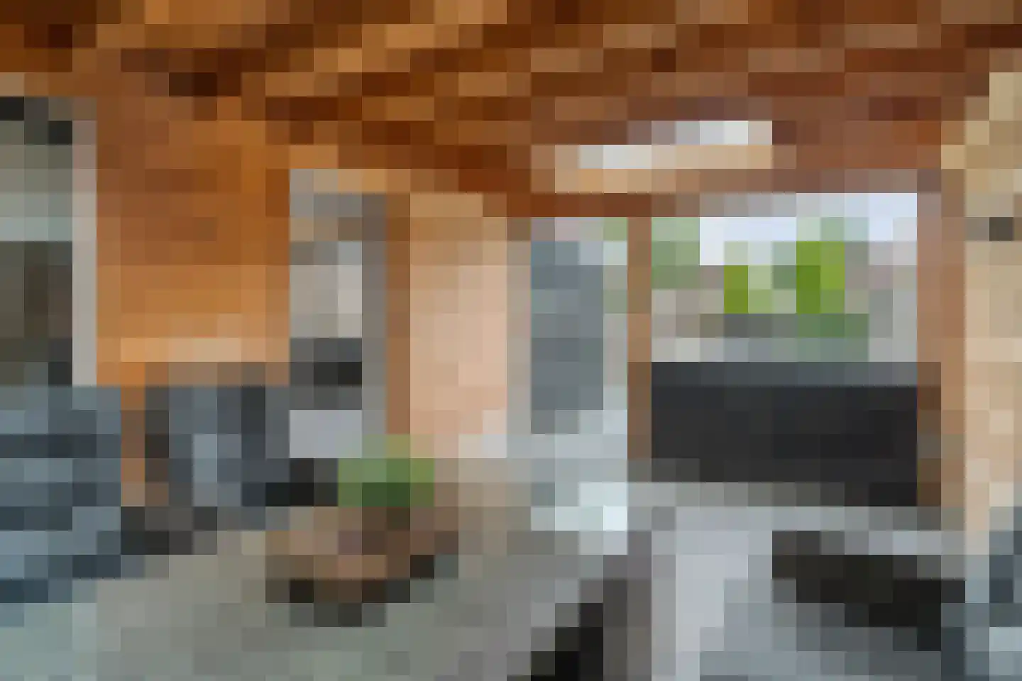 Eshuisstraat 24 Rijssen thumbnail 50