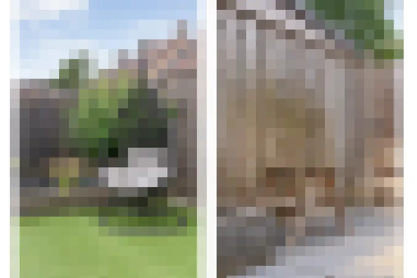 Eshuisstraat 24 Rijssen thumbnail 55
