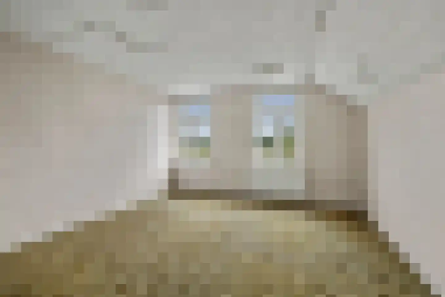 Esinkweg 10 Winterswijk Kotten thumbnail 25
