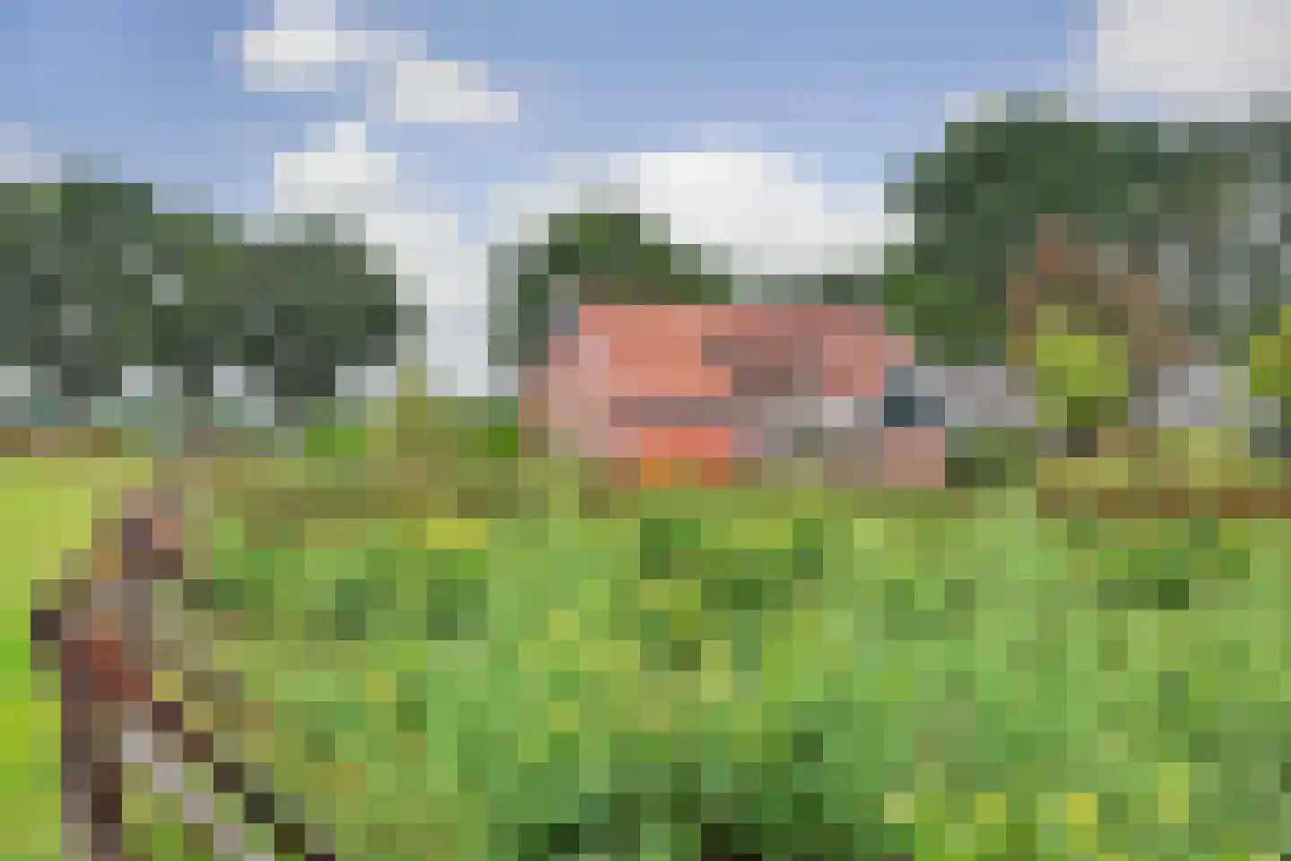 Esinkweg 10 Winterswijk Kotten thumbnail 34