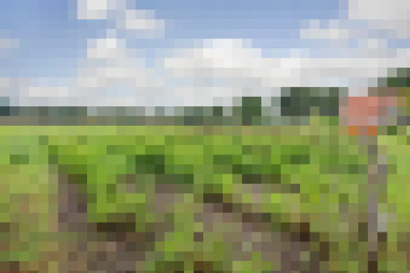 Esinkweg 10 Winterswijk Kotten thumbnail 37